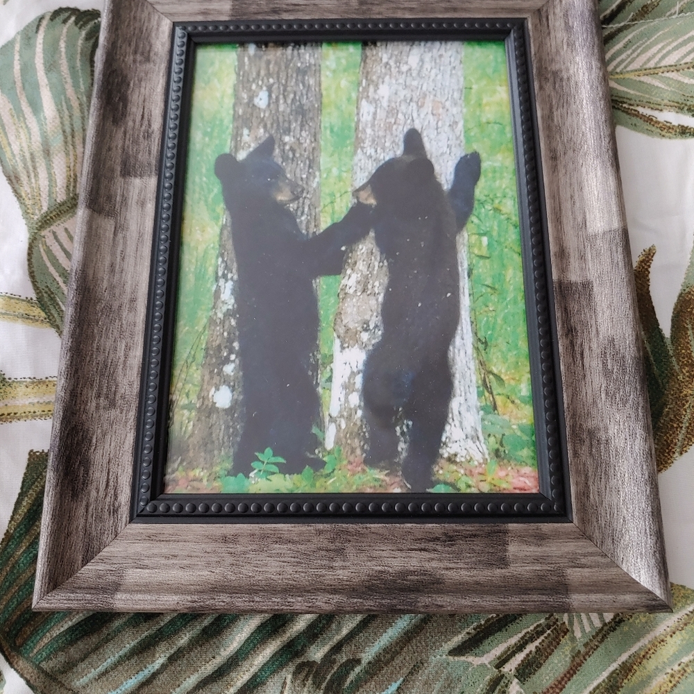 Beautiful 5 by 7 framed bear cubs color